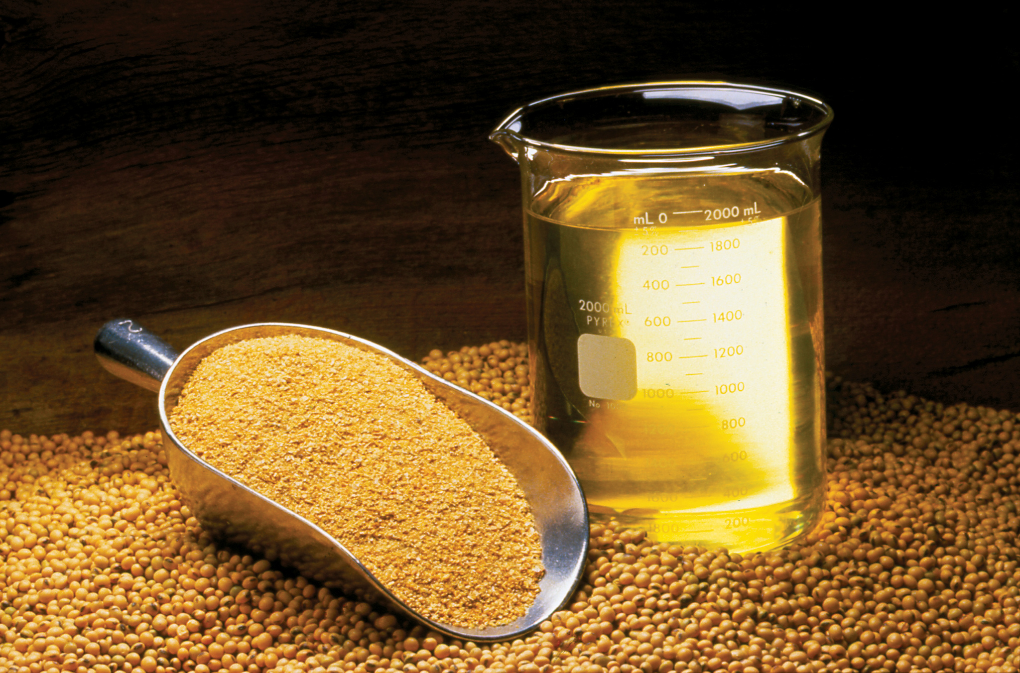 Soybean Oil and Soybean Meal